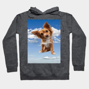 Cute dog Hoodie